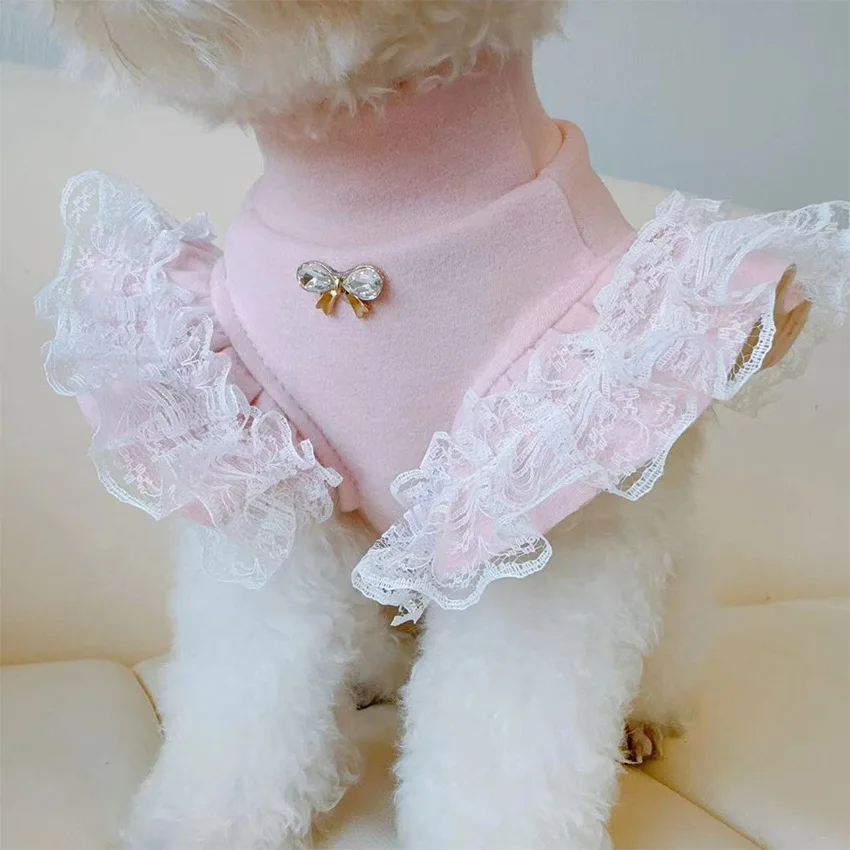 เสื้อผ้าสัตว์เลี้ยงฤดูใบไม้ร่ว - Lace Teddy Lingerie บทวิจารณ์และราคา